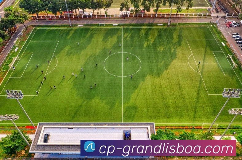 新葡京娱乐APP 封面图